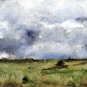 Raincloud Reverie