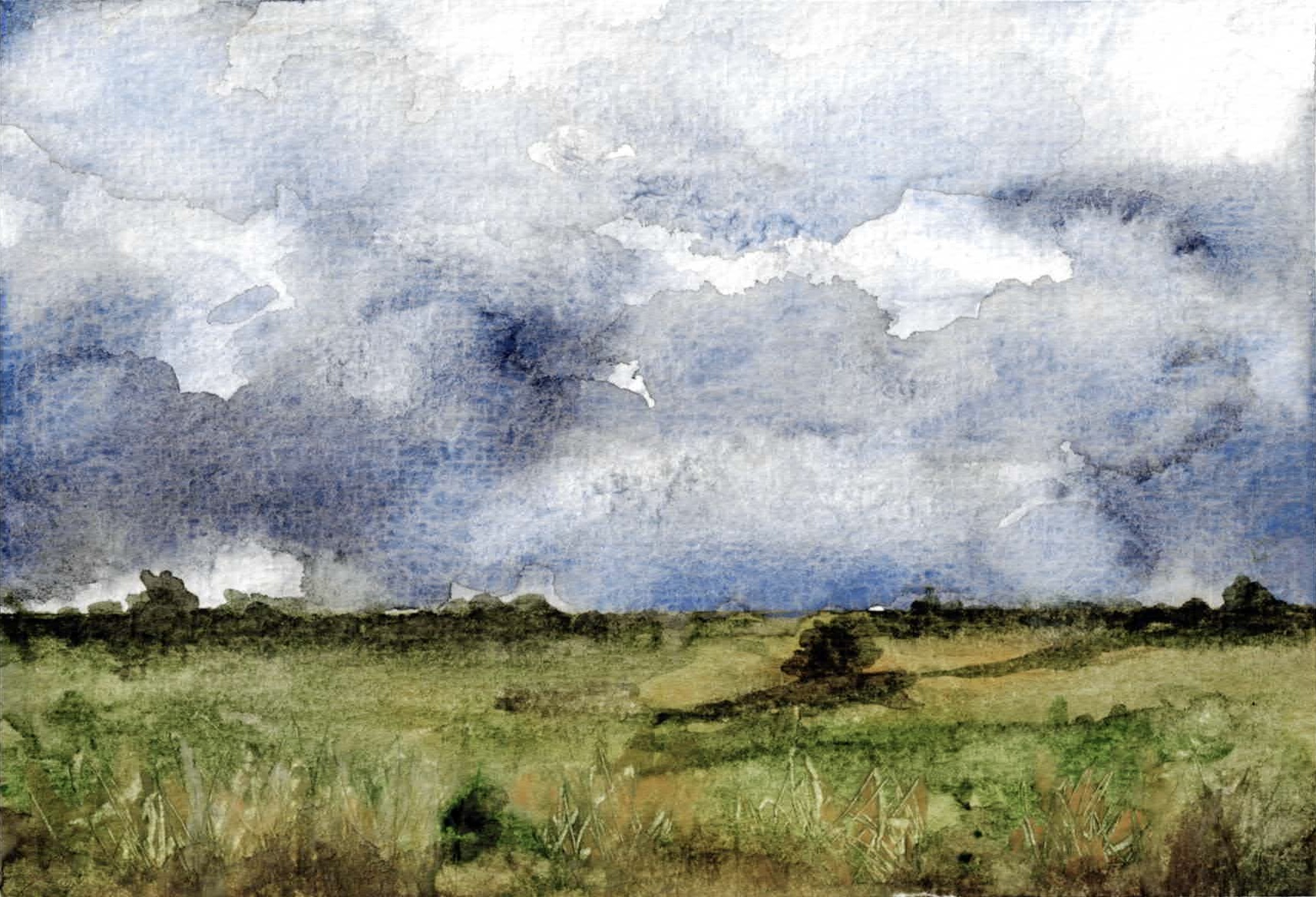 Raincloud Reverie